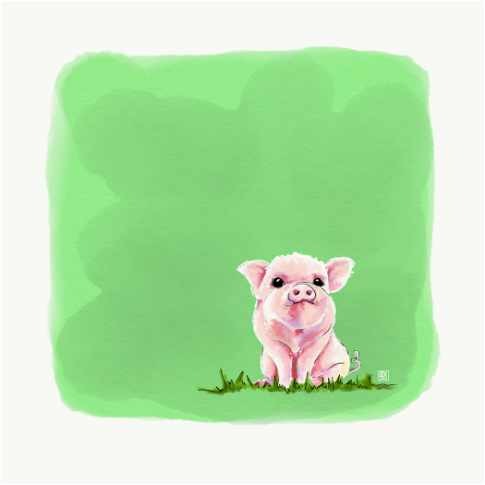 Welcome Baby Piglet